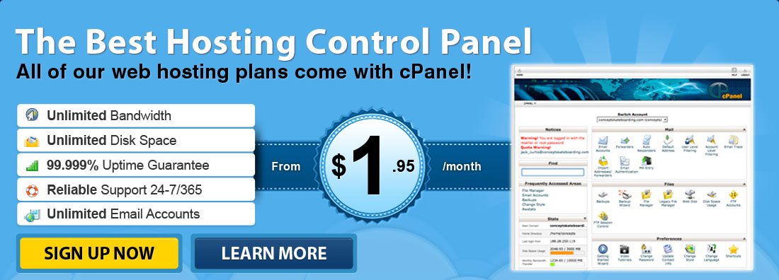 Make your life easy - use one of the most popular web hosting control panel